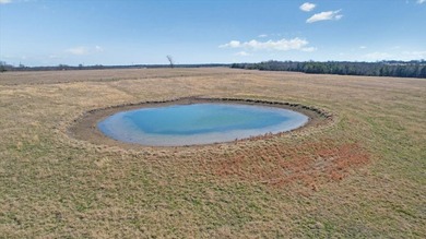 Rare opportunity to purchase one of the most diverse properties - photo 22