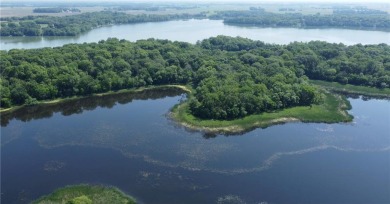 Lake Acreage For Sale in Greenleaf Twp, Minnesota