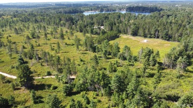 Johnson Lake - Marquette County Acreage For Sale in Gwinn Michigan