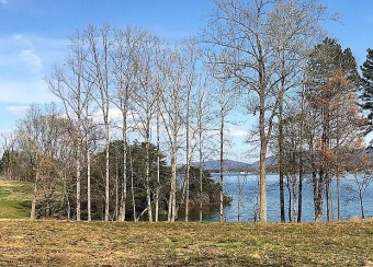 Lake Lot Off Market in Union Hall, Virginia