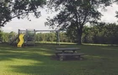 OWNER FINANCING WITH 25% DOWN. 0.65 Acre buildable lot in Oak - photo 11