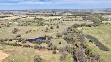 Premium Texas Land. Rare opportunity to own 60 acres of the best - photo 11