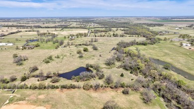 Premium Texas Land. Rare opportunity to own 60 acres of the best - photo 12