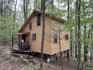 Lake Home For Sale in Gap Mills, West Virginia
