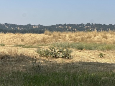 Lake Lot For Sale in Cottonwood, California