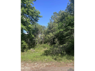 Lake Acreage For Sale in Shelbyville, Texas