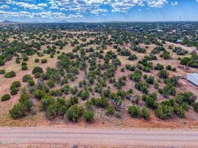 Lake Lot For Sale in Show Low, Arizona