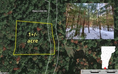 (private lake, pond, creek) Lot Sale Pending in Whitingham Vermont