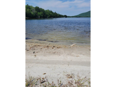 Great Averill Pond Home For Sale in Averill Vermont