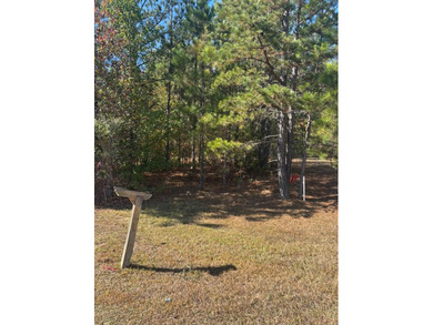 Lake Sinclair Commercial For Sale in Milledgeville Georgia