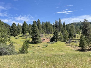 (private lake, pond, creek) Acreage For Sale in Horseshoe Bend Idaho
