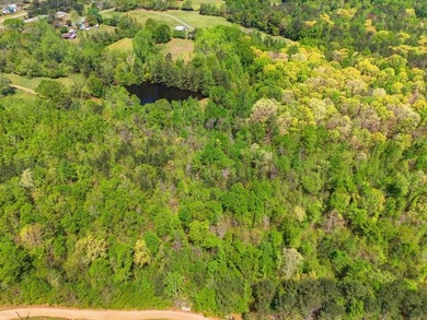 Charming Lakefront Retreat on 9.5 Acres - Private, Peaceful, and - photo 49