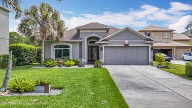 Lake Home Sale Pending in Lutz, Florida