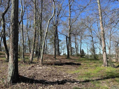 Build your DREAM HOME on just under an acre overlooking