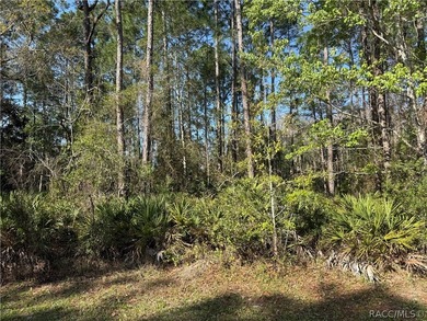 Beautiful 0.27-acre estate-sized lot located on a quiet - photo 1