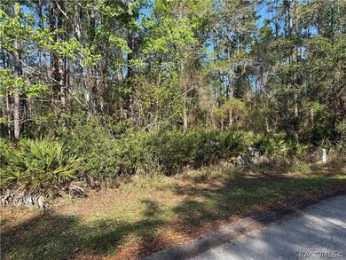 Beautiful 0.27-acre estate-sized lot located on a quiet - photo 2