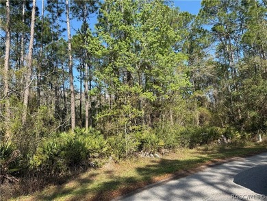 Beautiful 0.27-acre estate-sized lot located on a quiet - photo 4