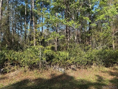 Beautiful 0.27-acre estate-sized lot located on a quiet - photo 5