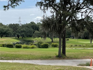 Beautiful 0.27-acre estate-sized lot located on a quiet - photo 6