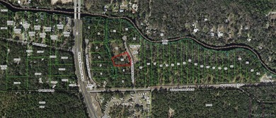 Withlacoochee River Lot For Sale in Inglis Florida