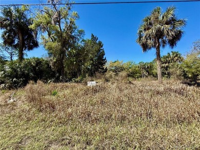 This is your opportunity to build your dream riverfront home in - photo 4