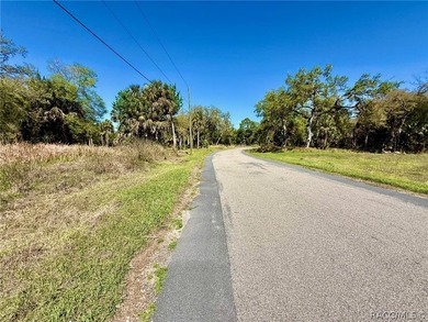 This is your opportunity to build your dream riverfront home in - photo 5