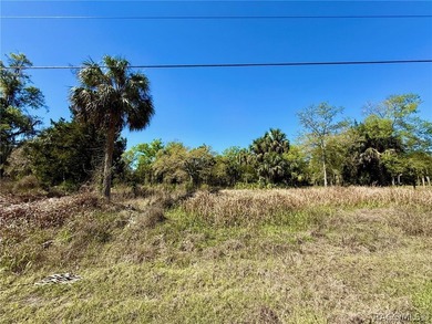 This is your opportunity to build your dream riverfront home in - photo 6