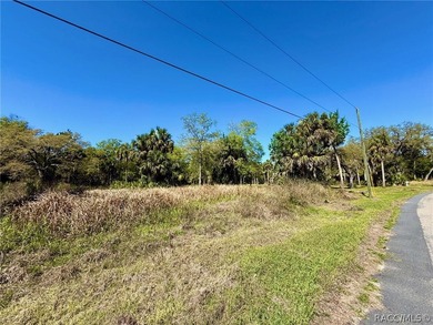 This is your opportunity to build your dream riverfront home in - photo 7