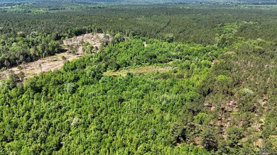 (private lake, pond, creek) Acreage For Sale in Jefferson Texas