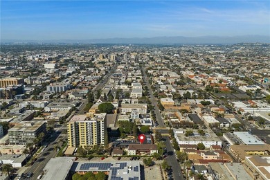 337 Lime 6 - photo 20