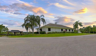 (private lake, pond, coastal) Home For Sale in Wellington Florida