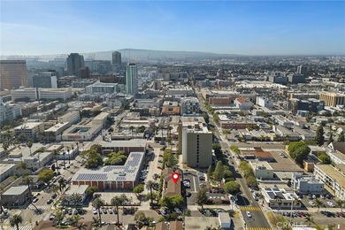 337 Lime 6 - photo 22