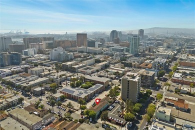 337 Lime 6 - photo 23