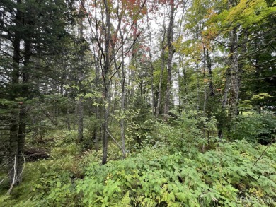 Brule Lake Lot For Sale in Iron River Michigan