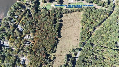 Nestled along Shiny Mountain Road, this expansive 46-acre - photo 2