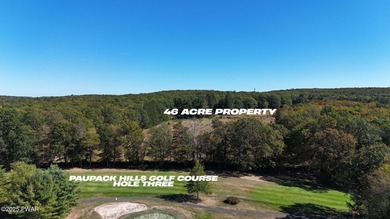 Nestled along Shiny Mountain Road, this expansive 46-acre - photo 3