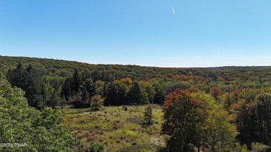 Nestled along Shiny Mountain Road, this expansive 46-acre - photo 4