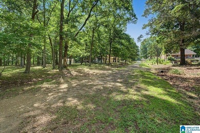 Welcome to lakefront living at its finest on beautiful Weiss - photo 45