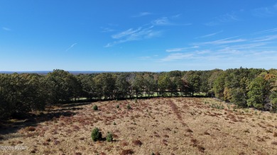 Nestled along Shiny Mountain Road, this expansive 46-acre - photo 6
