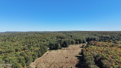 Nestled along Shiny Mountain Road, this expansive 46-acre - photo 7