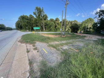 Lake Greenwood Commercial For Sale in Waterloo South Carolina