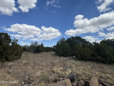 White Mountain Lake Lot For Sale in Show Low Arizona