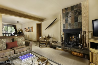 Roaring Fork River Condo For Sale in Aspen Colorado