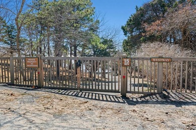 South of the Highway Gem - Two Houses from Shinnecock Bay - photo 24