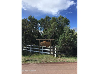 Show Low Lake Lot For Sale in Lakeside Arizona