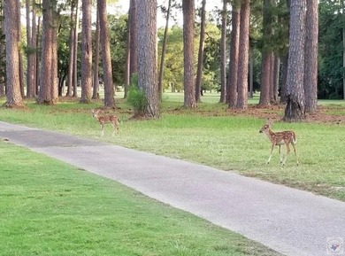 Welcome to Holly Lake Ranch, where peaceful living and a true - photo 44