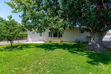 Colorado River Home For Sale in Palisade Colorado