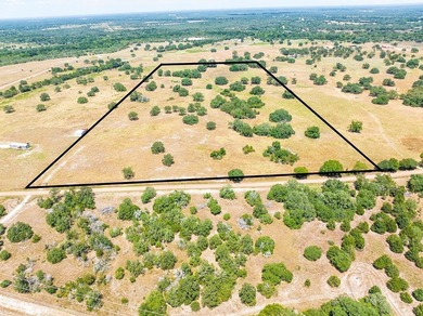 (private lake, pond, creek) Acreage For Sale in Flatonia Texas
