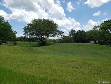 RARE OPPORTUNITY to own a premier estate homesite in the - photo 3
