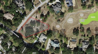 RARE OPPORTUNITY to own a premier estate homesite in the - photo 4